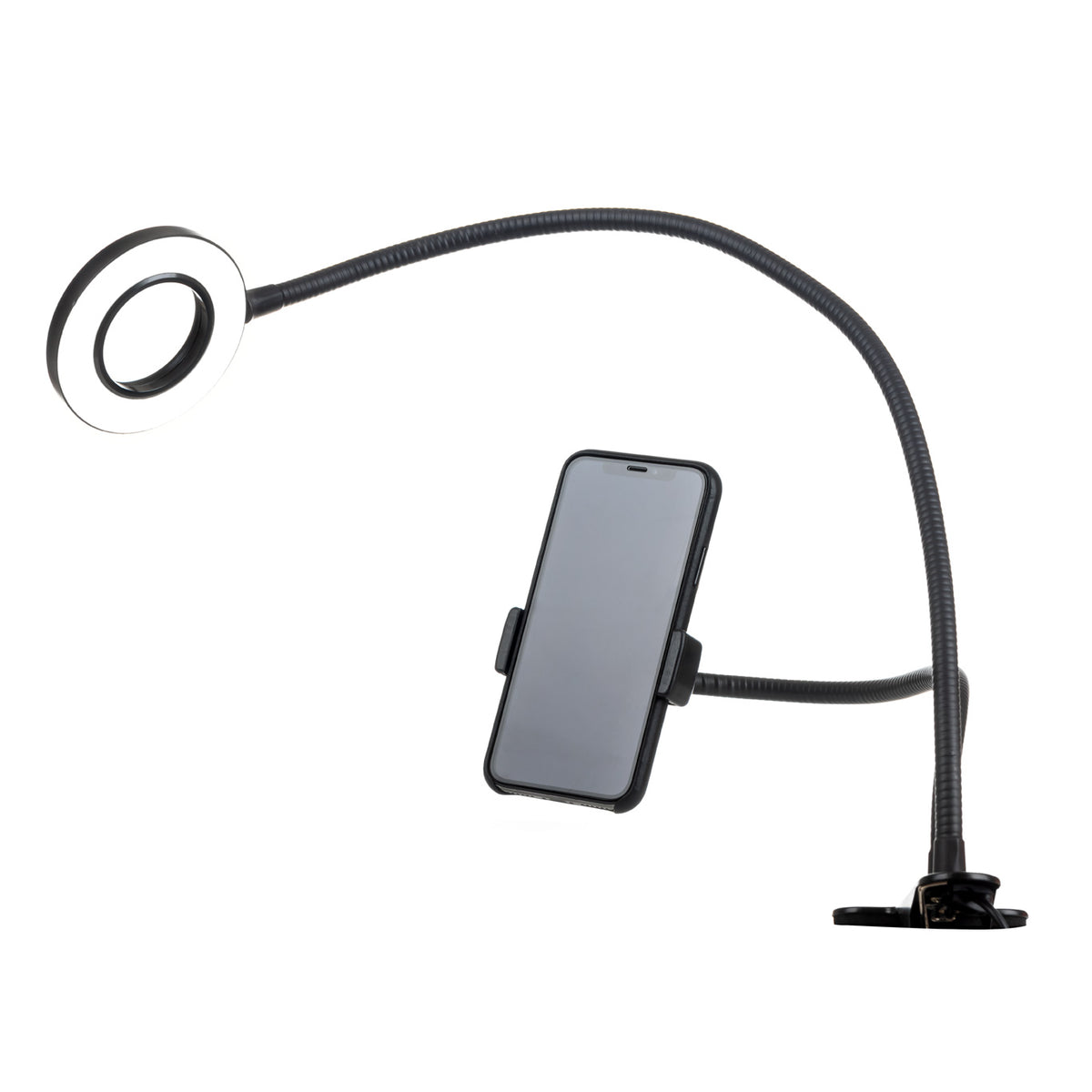 Live streaming light
